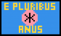 The first version of the flag featuring the motto, "E Pluribus Anus".